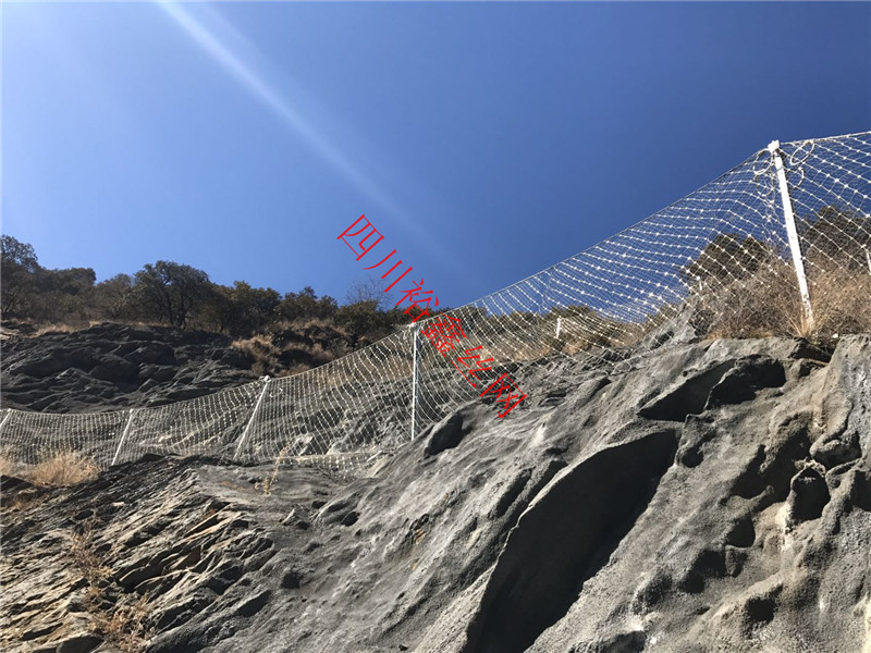 被動(dòng)防護(hù)網(wǎng)